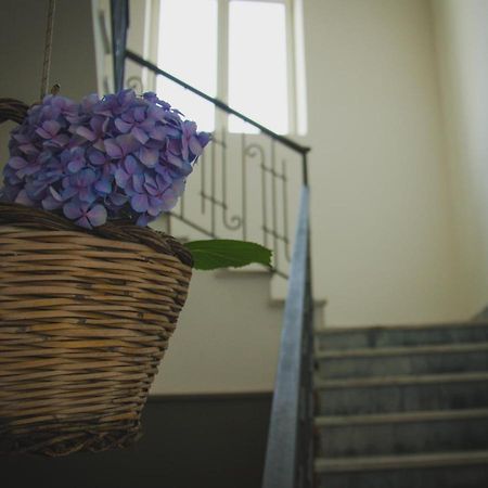 Lepanto B&B ปอมเปอี ภายนอก รูปภาพ