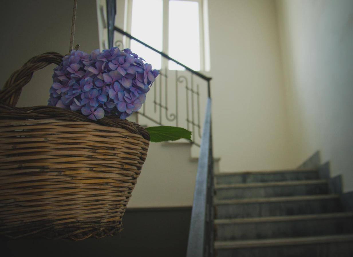 Lepanto B&B ปอมเปอี ภายนอก รูปภาพ