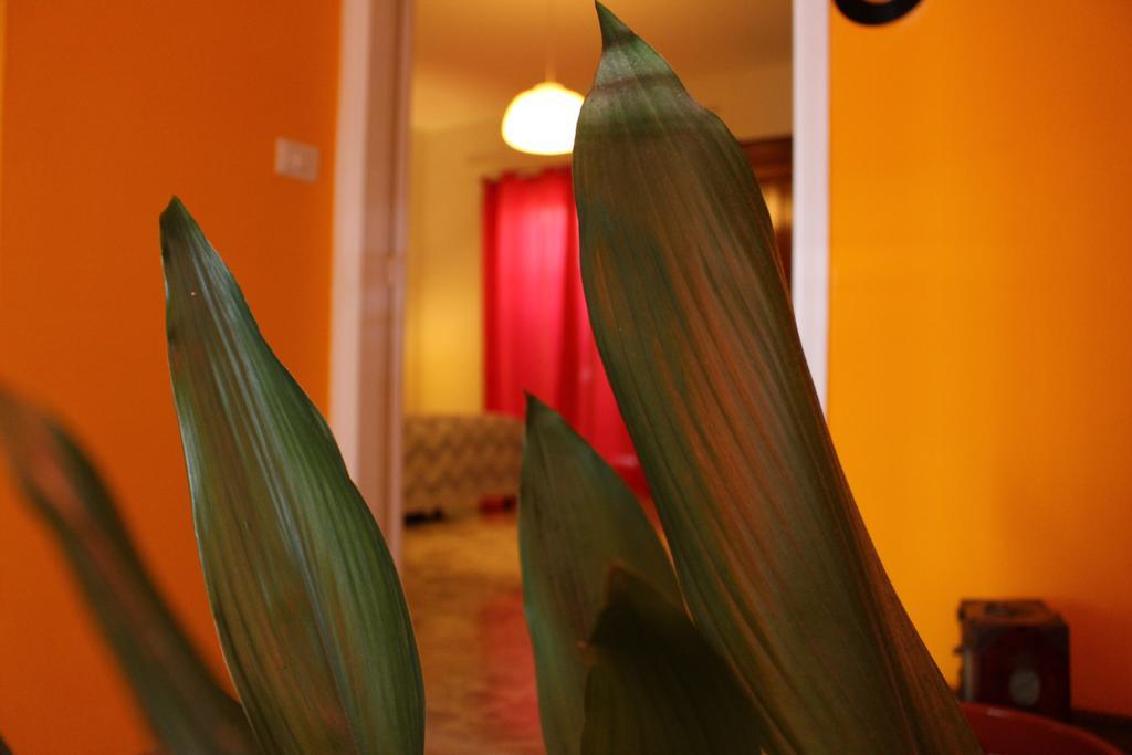 Lepanto B&B ปอมเปอี ภายนอก รูปภาพ